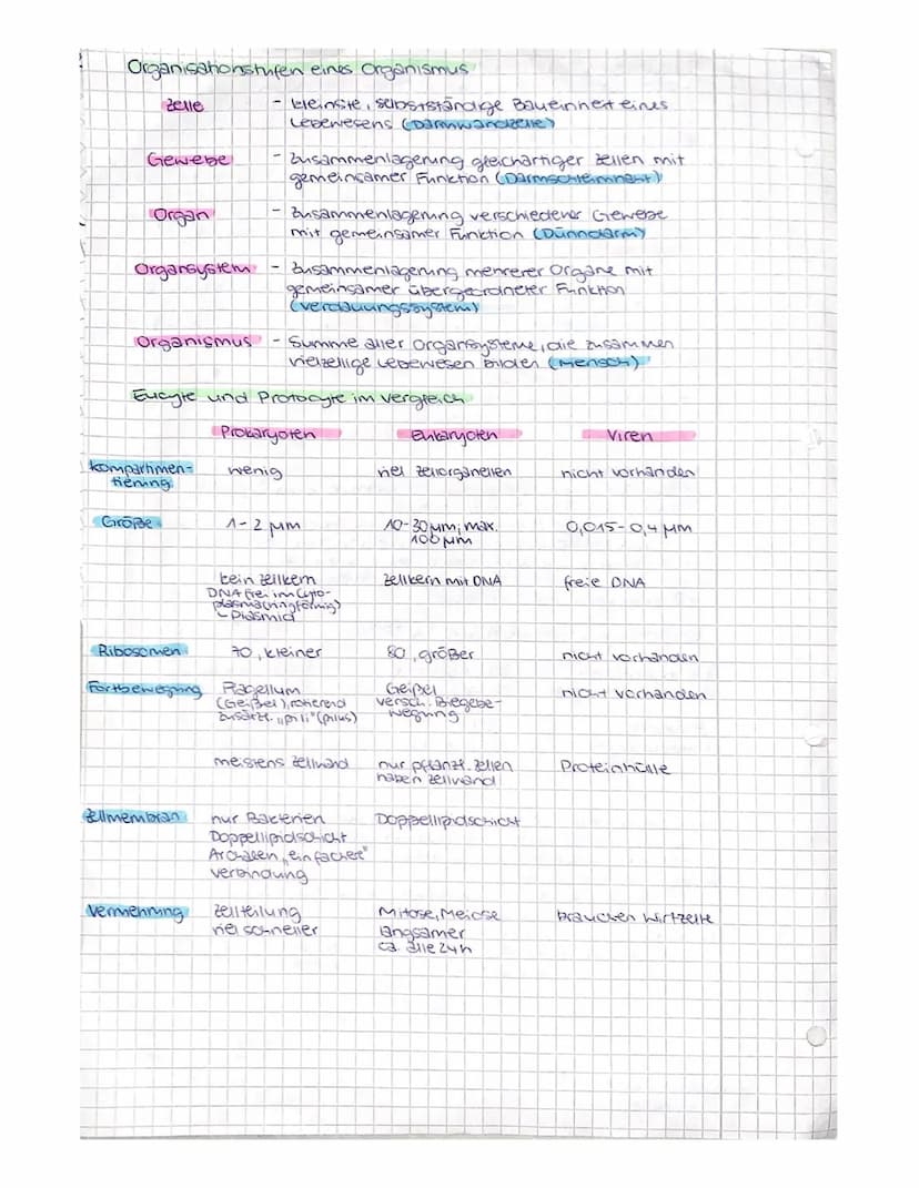 Bio
Kriterien des Lebens
Stoffwechsel
Laufhanme & Abgabe von Stoffen
Reizbarkeit
Creagieren auf Reize ans Umwelt
•Fortpflanzung
- selbststän