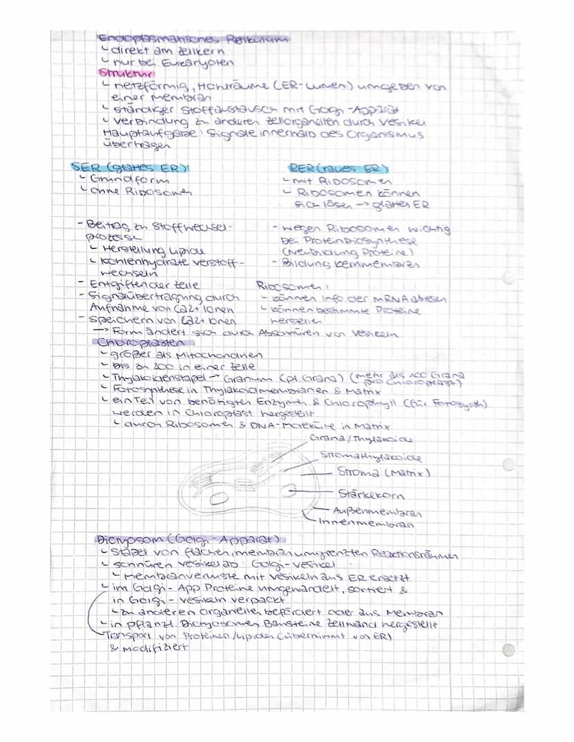 Bio
Kriterien des Lebens
Stoffwechsel
Laufhanme & Abgabe von Stoffen
Reizbarkeit
Creagieren auf Reize ans Umwelt
•Fortpflanzung
- selbststän