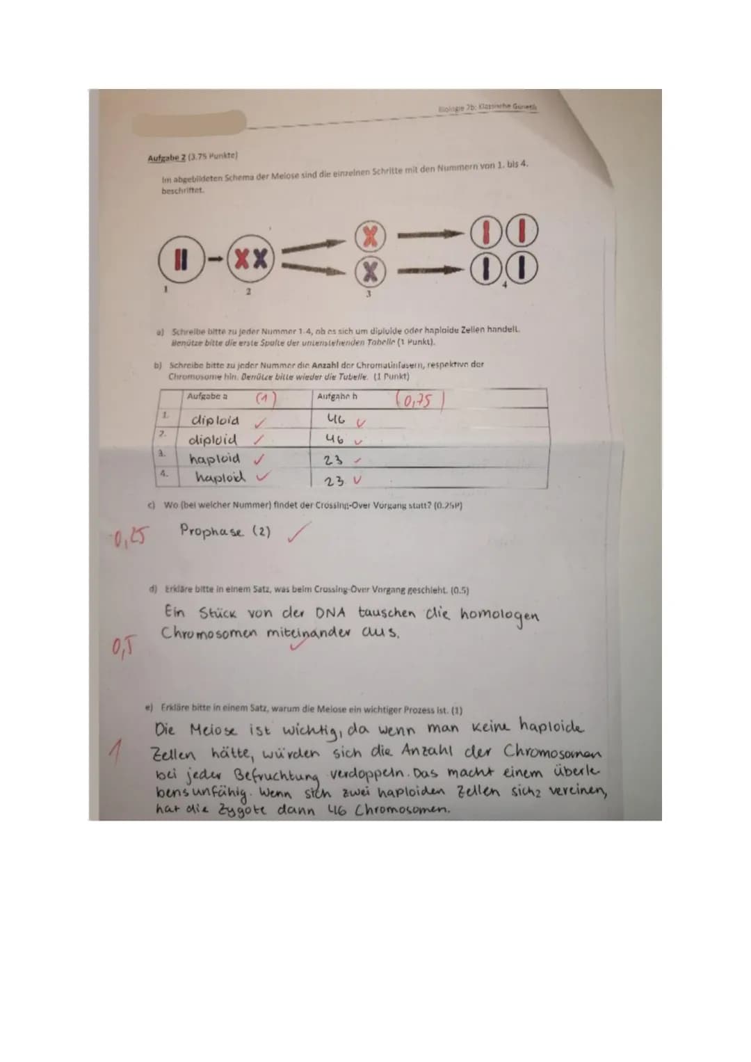 Prüfung Biologie: Klassische Genetik und Meiose
Klasse 2b, 6.11.20
14
Name.
Punkle:
Aufgabe 1 (2 Punkte)
Ein Gen auf dem Chromosom Nr. 9 ent