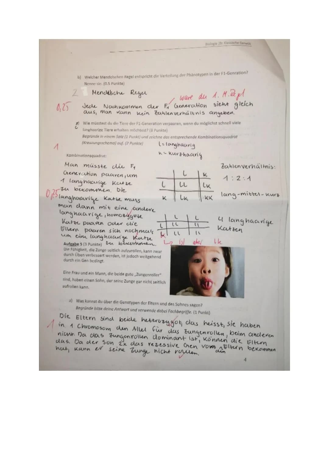 Prüfung Biologie: Klassische Genetik und Meiose
Klasse 2b, 6.11.20
14
Name.
Punkle:
Aufgabe 1 (2 Punkte)
Ein Gen auf dem Chromosom Nr. 9 ent