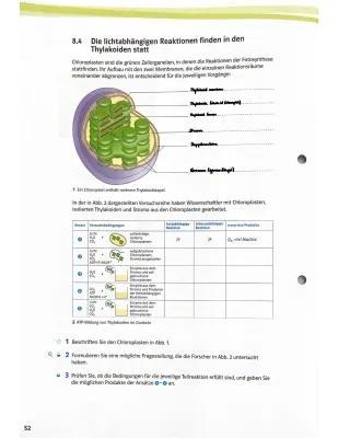 Know thylakoid  thumbnail