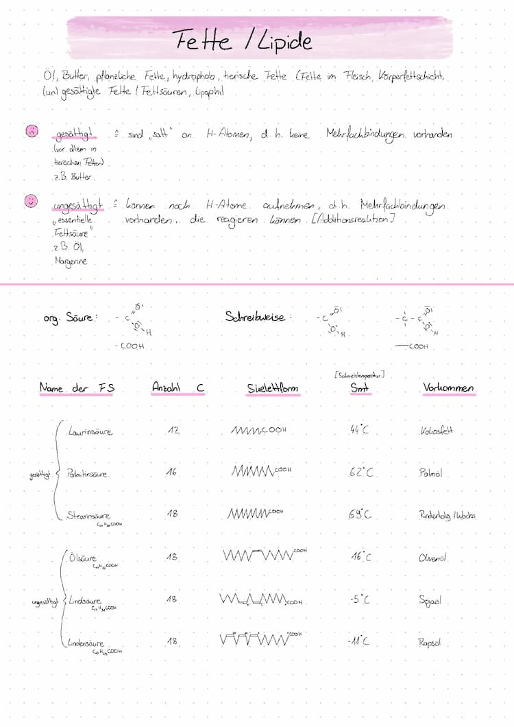 Know Fette/Lipide thumbnail