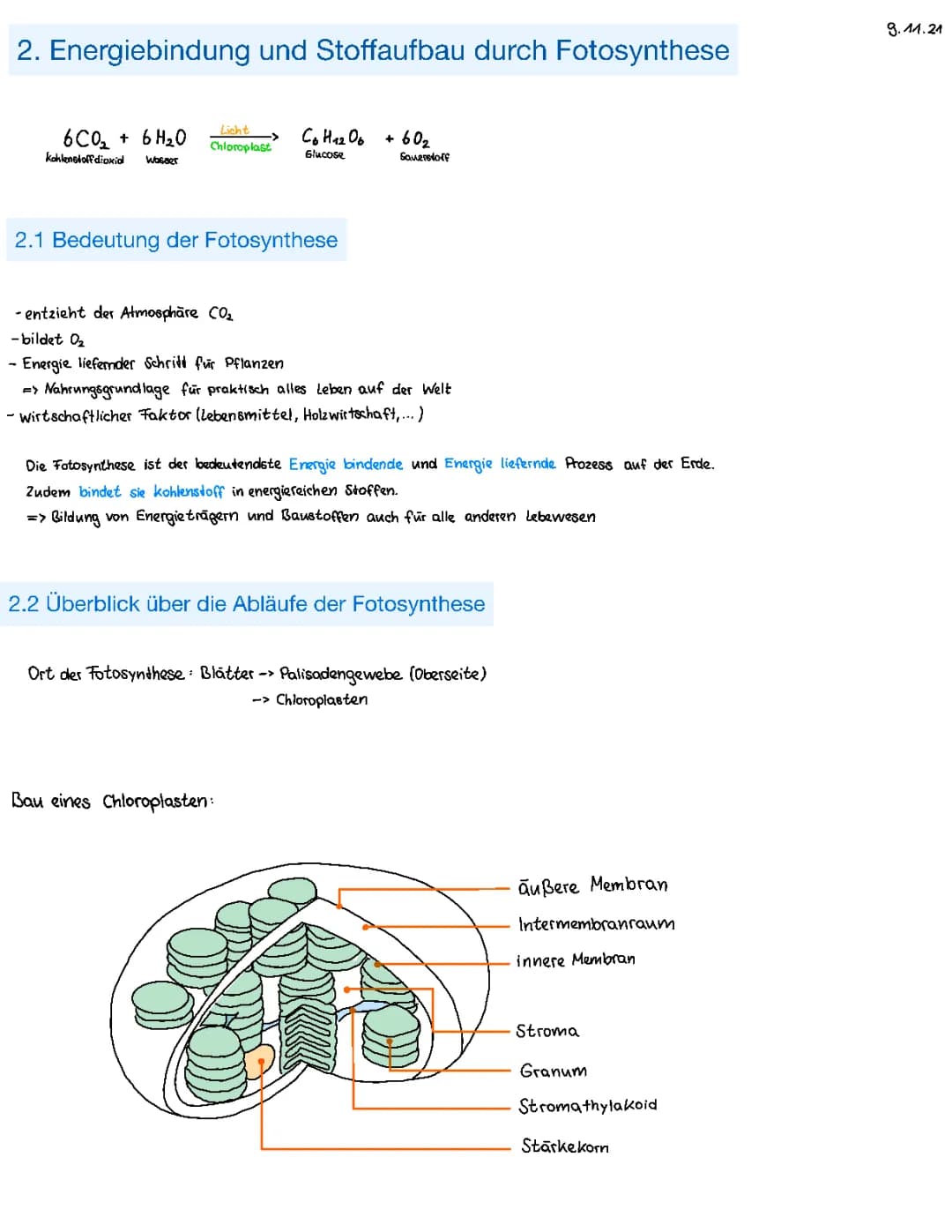 Fotosynthese 