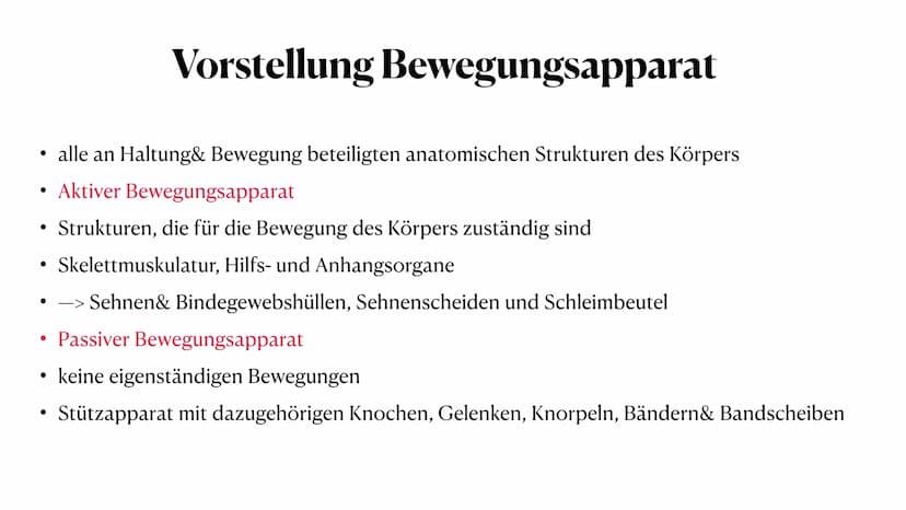 Sportbiologische Grundlagen
des Trainings
1. Bewegungsapparat
Anna-Lena Wiechmann ●
●
●
●
●
Gliederung
Vorstellung Bewegungsapparat
Vorstell