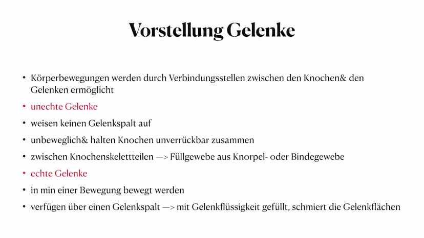Sportbiologische Grundlagen
des Trainings
1. Bewegungsapparat
Anna-Lena Wiechmann ●
●
●
●
●
Gliederung
Vorstellung Bewegungsapparat
Vorstell