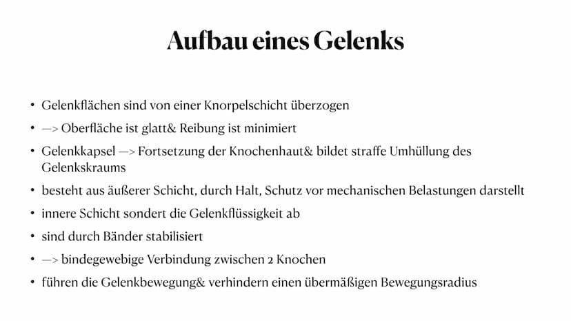 Sportbiologische Grundlagen
des Trainings
1. Bewegungsapparat
Anna-Lena Wiechmann ●
●
●
●
●
Gliederung
Vorstellung Bewegungsapparat
Vorstell