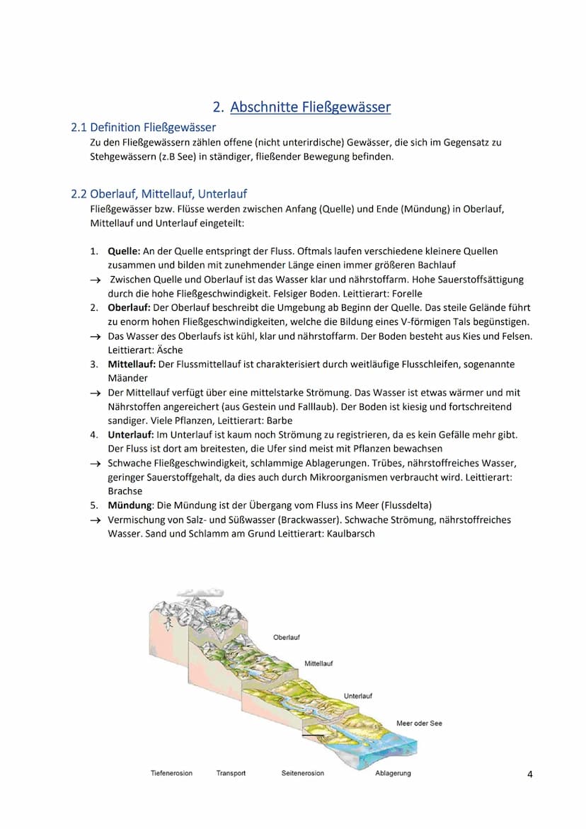 Inhalt
1. Ökologische Grundbegriffe.
2. Abschnitte Fließgewässer.....
3.
Biologie Abiturvorbereitung
Ökologie
2
2.1 Definition Fließgewässer