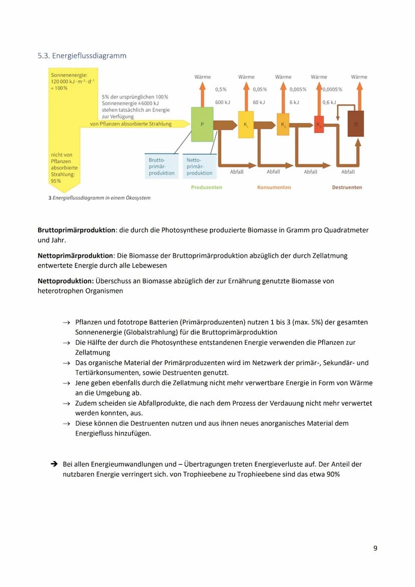 Inhalt
1. Ökologische Grundbegriffe.
2. Abschnitte Fließgewässer.....
3.
Biologie Abiturvorbereitung
Ökologie
2
2.1 Definition Fließgewässer