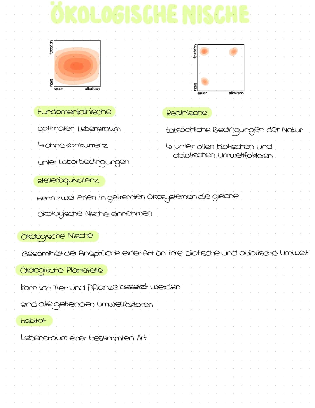 Okologie
Abitur
Zusammenfassung Inhaltsübersicht
Themenfeld Ökologie
Bereiche der Ökologie (Syn-, Populations- und Autökologie)
Aufbau eines