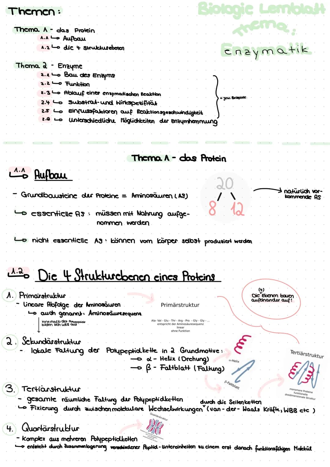 Themen:
Thema A - das Protein
A.AL Aufbau
A.2 Lo die 4 Strukturebenen
Thema 2 Enzyme
^.^
-
2.1 Lo Bau des Enzyms
Funktion
2.2
2.3 Ablauf ein