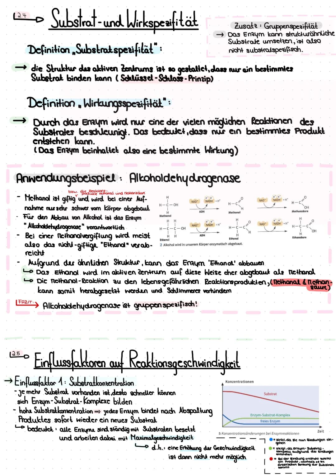 Themen:
Thema A - das Protein
A.AL Aufbau
A.2 Lo die 4 Strukturebenen
Thema 2 Enzyme
^.^
-
2.1 Lo Bau des Enzyms
Funktion
2.2
2.3 Ablauf ein