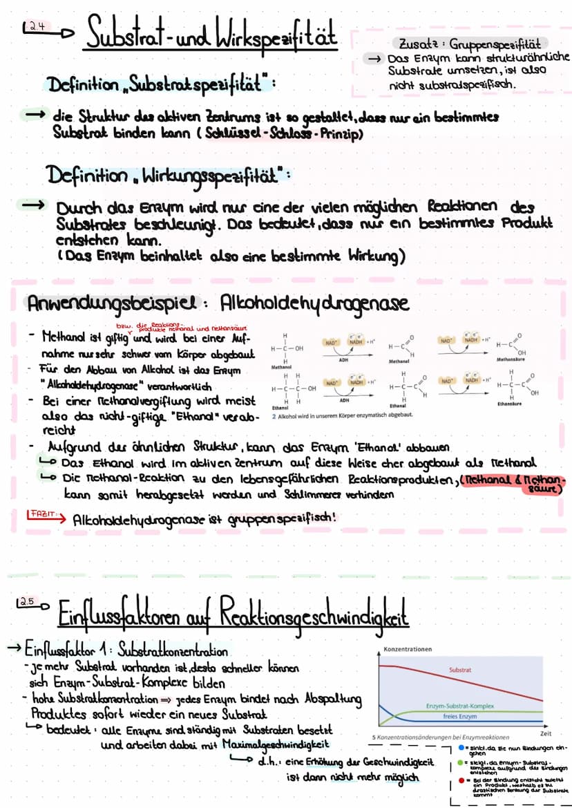 Themen:
Thema A - das Protein
A.AL Aufbau
A.2 Lo die 4 Strukturebenen
Thema 2 Enzyme
^.^
-
2.1 Lo Bau des Enzyms
Funktion
2.2
2.3 Ablauf ein