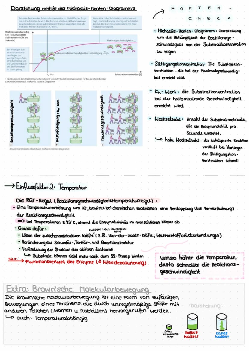 Themen:
Thema A - das Protein
A.AL Aufbau
A.2 Lo die 4 Strukturebenen
Thema 2 Enzyme
^.^
-
2.1 Lo Bau des Enzyms
Funktion
2.2
2.3 Ablauf ein