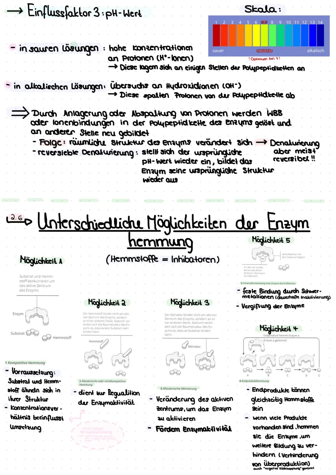 Themen:
Thema A - das Protein
A.AL Aufbau
A.2 Lo die 4 Strukturebenen
Thema 2 Enzyme
^.^
-
2.1 Lo Bau des Enzyms
Funktion
2.2
2.3 Ablauf ein