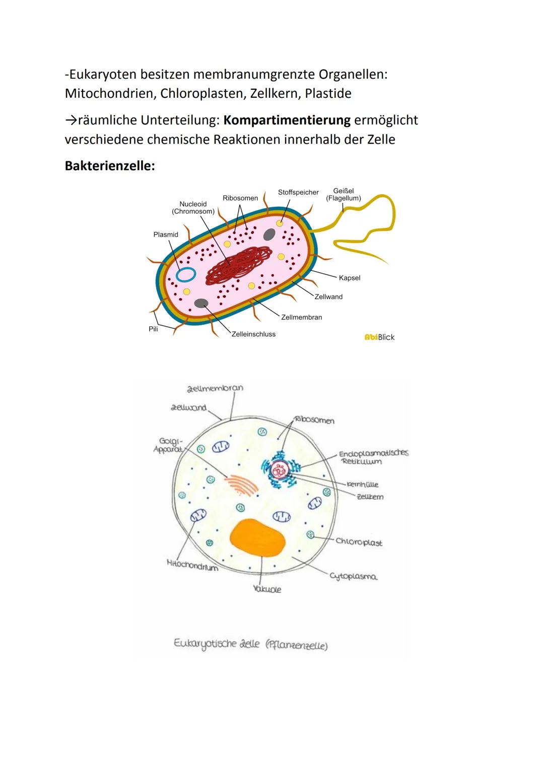 Bio Klausur 1 Q1
Themen:
• Kennzeichen des Lebendigen
Biochemie der Zelle
Prokaryoten, Eukaryoten
Endo- und Exocytose
●
• Endosymbiontentheo