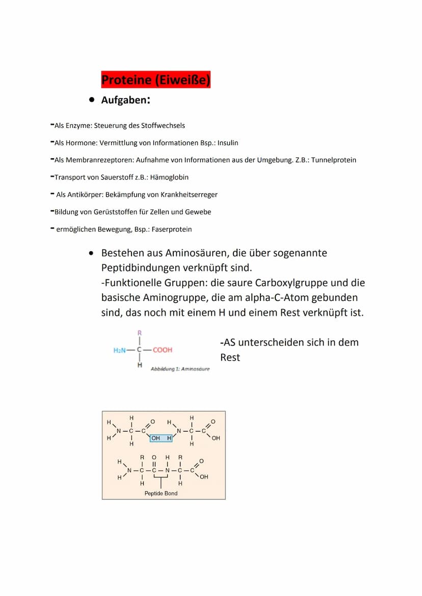 Bio Klausur 1 Q1
Themen:
• Kennzeichen des Lebendigen
Biochemie der Zelle
Prokaryoten, Eukaryoten
Endo- und Exocytose
●
• Endosymbiontentheo