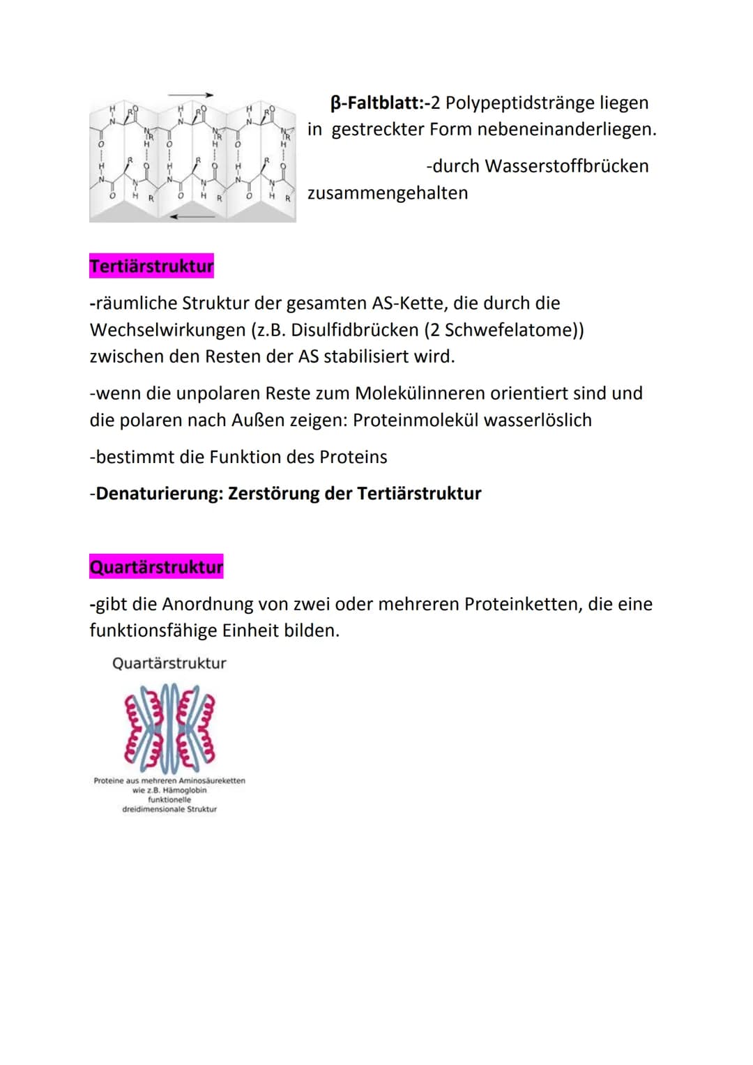 Bio Klausur 1 Q1
Themen:
• Kennzeichen des Lebendigen
Biochemie der Zelle
Prokaryoten, Eukaryoten
Endo- und Exocytose
●
• Endosymbiontentheo