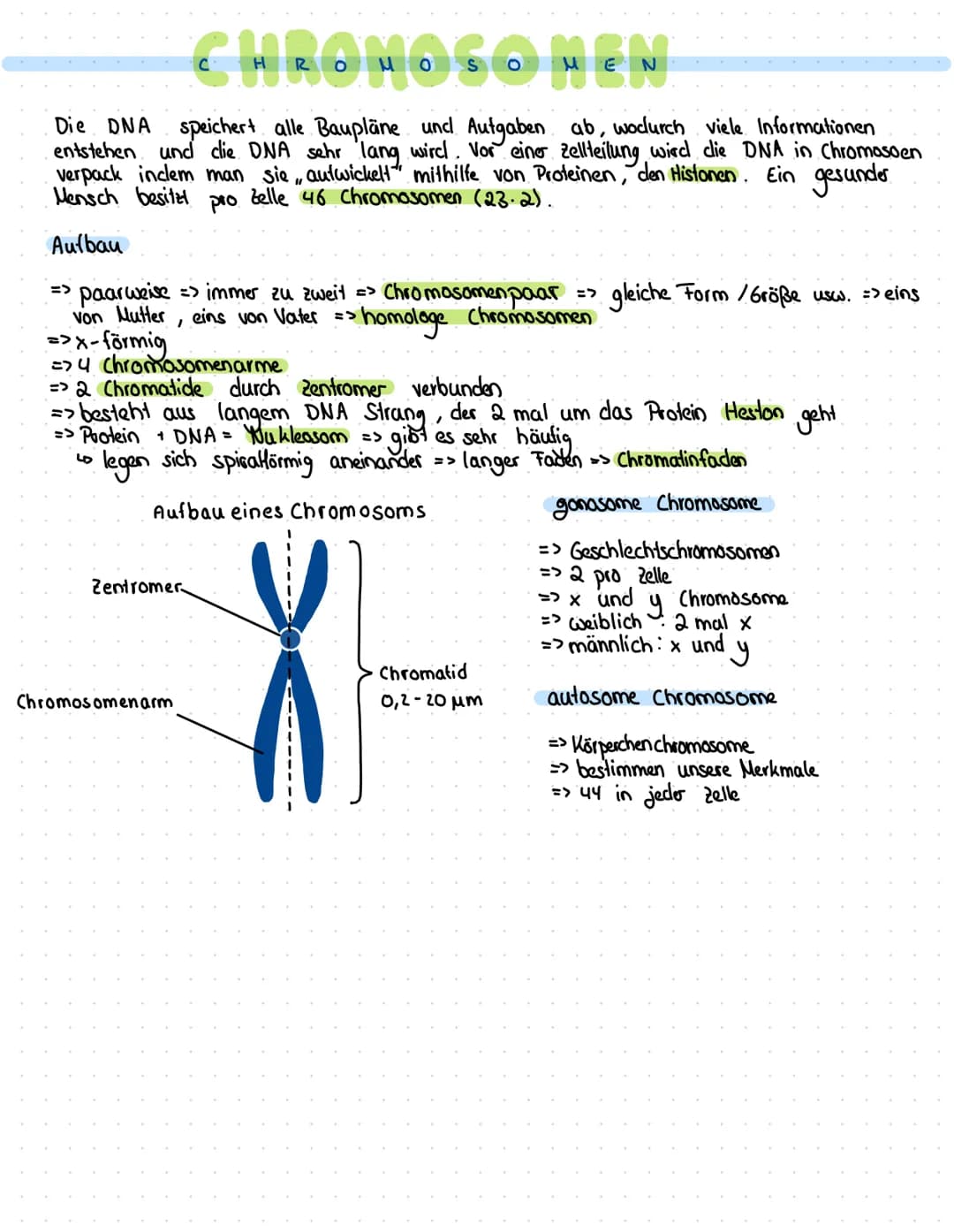 с иконобо мен
Die DNA speichert alle Baupläne und Aufgaben ab, wodurch viele Informationen
entstehen und die DNA sehr lang wird. Vor einer Z