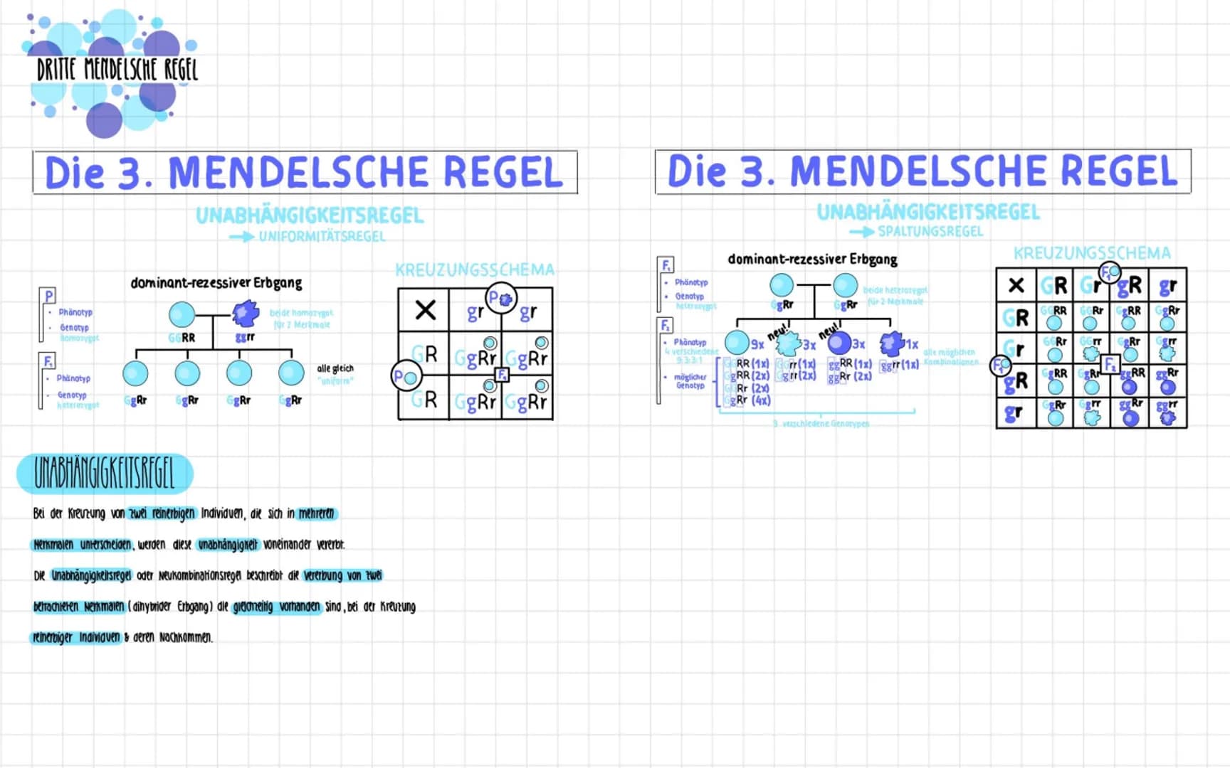DRITTE MENDELSCHE REGEL
Die 3. MENDELSCHE REGEL
UNABHÄNGIGKEITSREGEL
UNIFORMITÄTSREGEL
Phänotyp
Genotyp
Bomozygot
Phänotyp
Genotyp
heterozyg