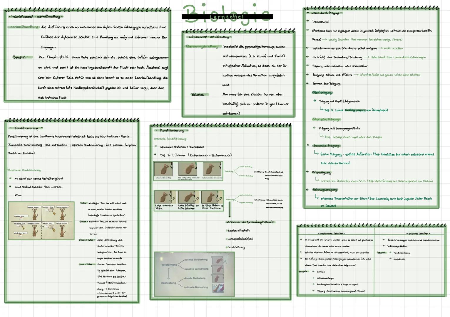 семесеcеееееееееев
Themen: Verhaltensbiologie

Proximate und ultimate Ursachen

• Mechanismen der Verhaltenssteuerung

جا
Reiz, Reaktion, Re
