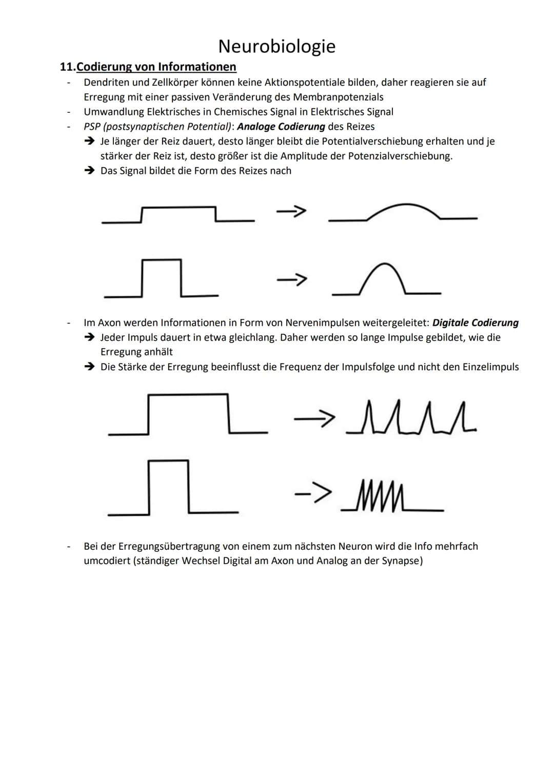 Neurobiologie
1. Begriffe
Reizenergie: Reize, die die Sinnesorgane aufgenommen haben und in Energie umgewandelt
haben
Reiz-Energie-Transform