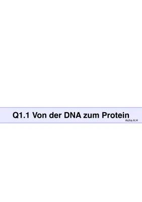 Know Q1.1 Von der DNA zum Protein thumbnail