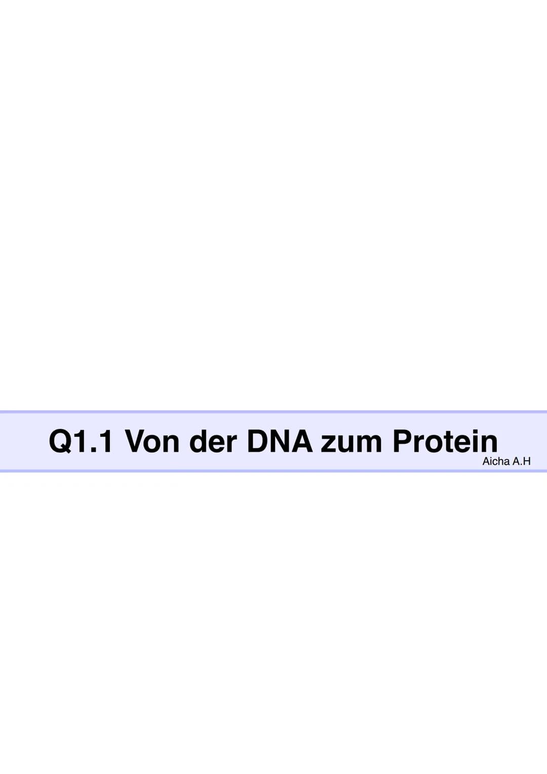 Q1.1 Von der DNA zum Protein
Aicha A.H Von der DNA zum Protein Q1.1
Q1 Abitur 2023 - Biologie LK
Aufbau der DNA und das Watson-Crick Modell 