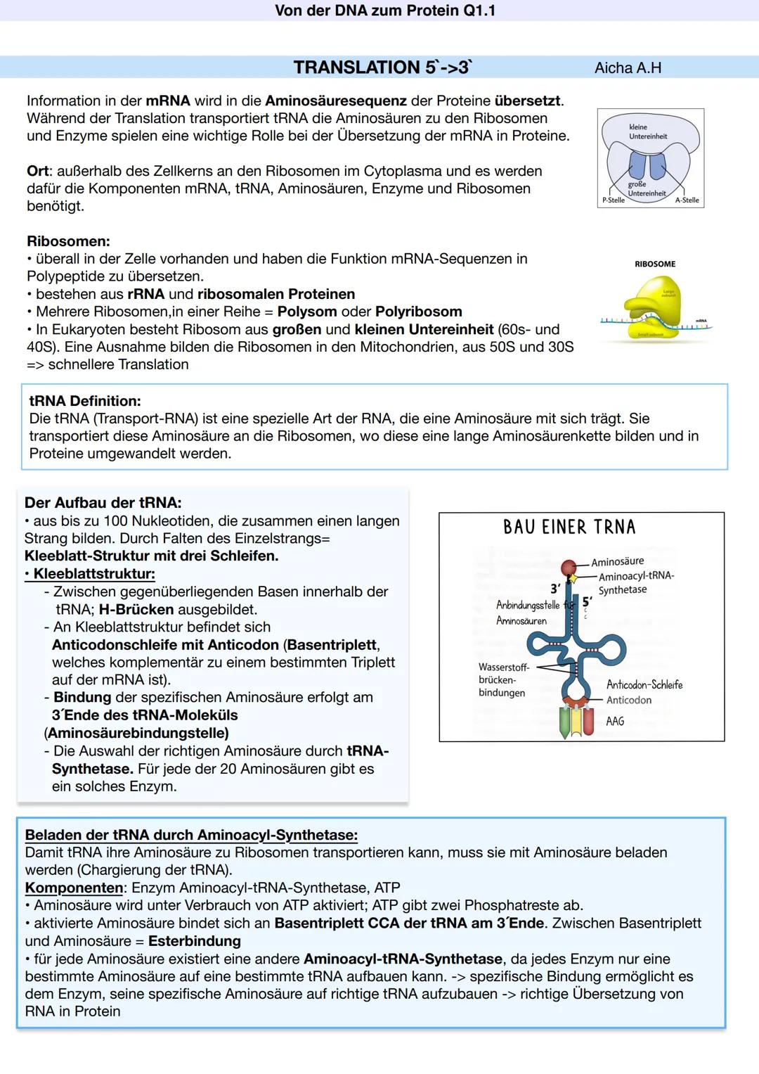 Q1.1 Von der DNA zum Protein
Aicha A.H Von der DNA zum Protein Q1.1
Q1 Abitur 2023 - Biologie LK
Aufbau der DNA und das Watson-Crick Modell 