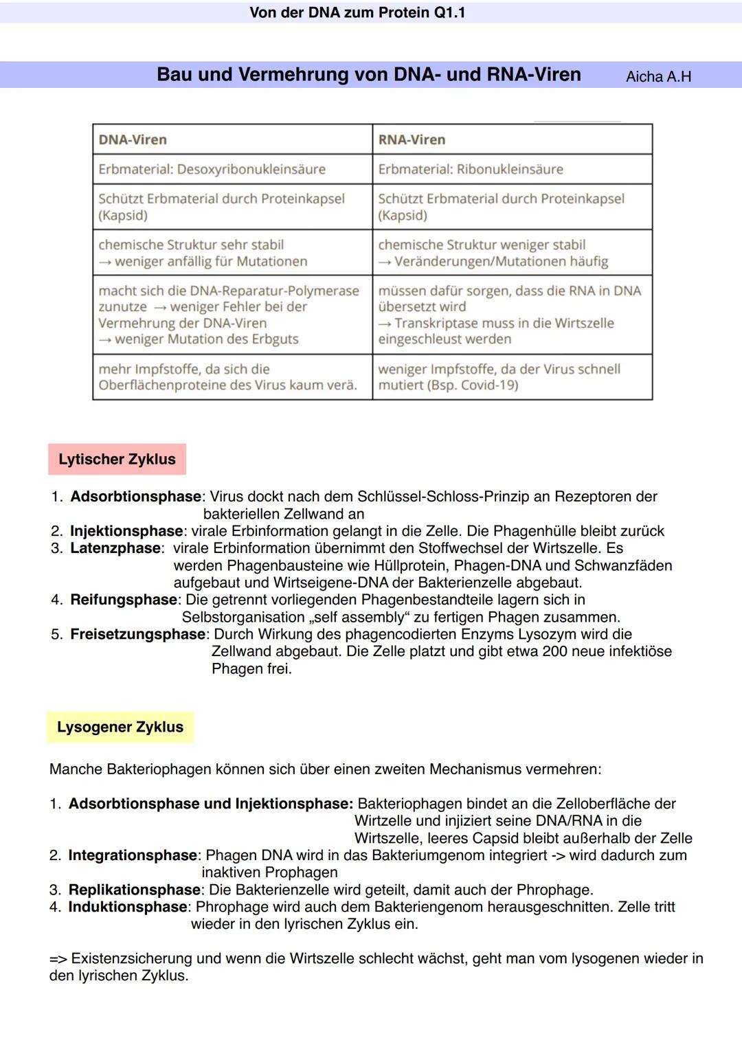 Q1.1 Von der DNA zum Protein
Aicha A.H Von der DNA zum Protein Q1.1
Q1 Abitur 2023 - Biologie LK
Aufbau der DNA und das Watson-Crick Modell 