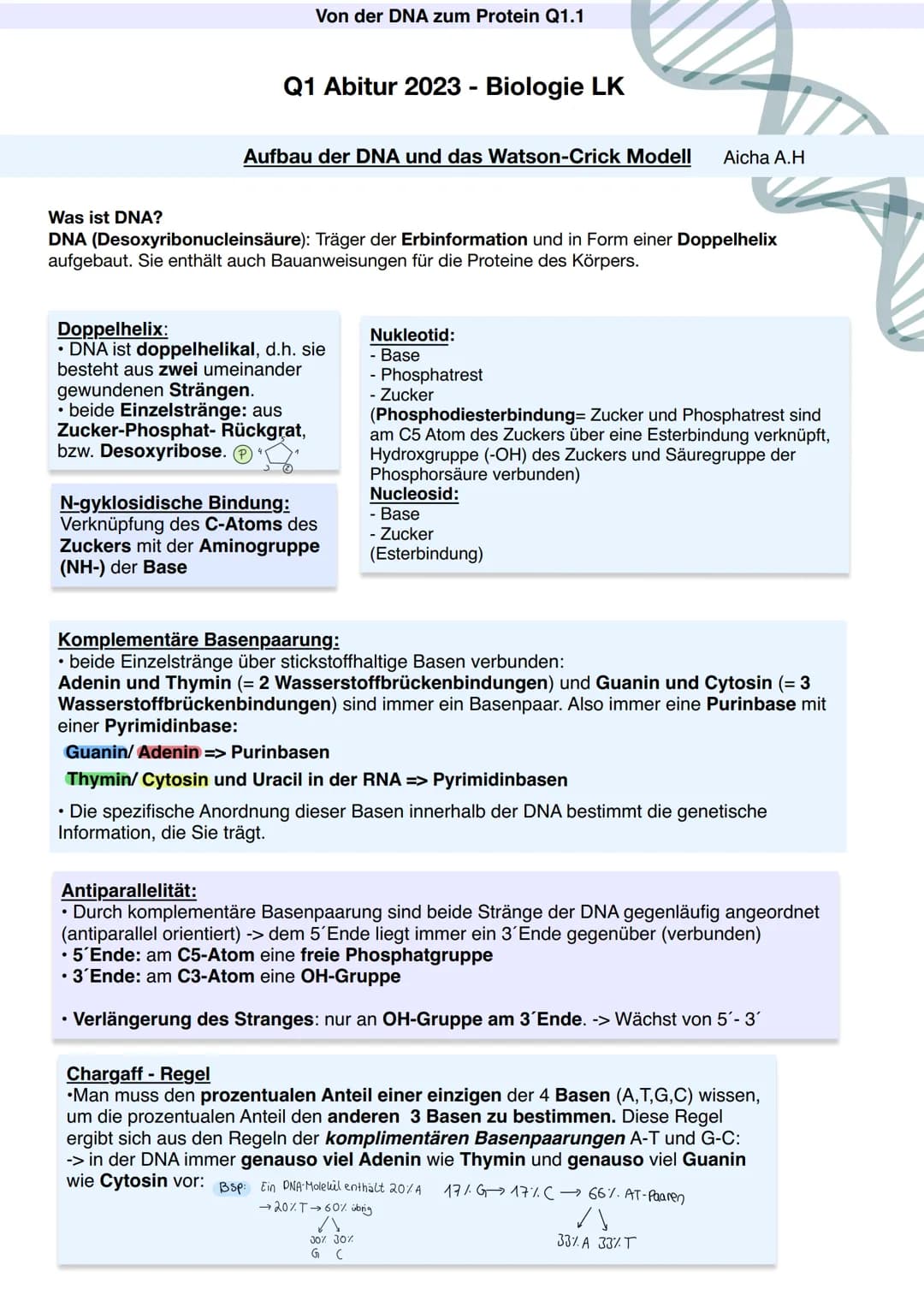 Q1.1 Von der DNA zum Protein
Aicha A.H Von der DNA zum Protein Q1.1
Q1 Abitur 2023 - Biologie LK
Aufbau der DNA und das Watson-Crick Modell 