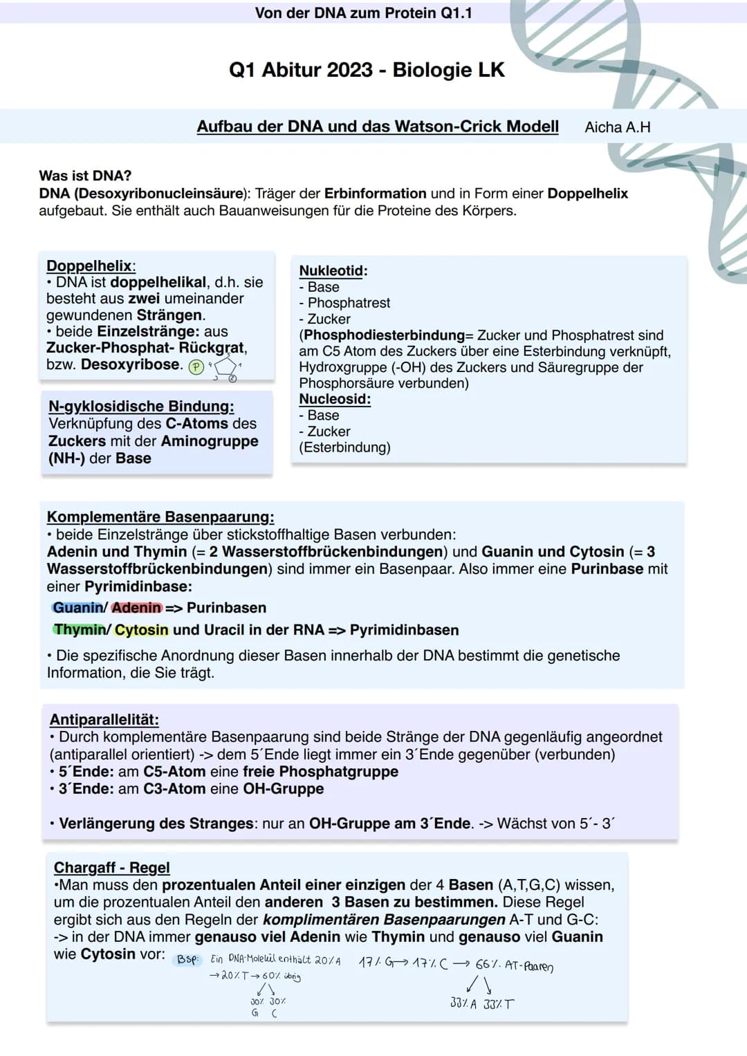 Q1.1 Von der DNA zum Protein
Aicha A.H Von der DNA zum Protein Q1.1
Q1 Abitur 2023 - Biologie LK
Aufbau der DNA und das Watson-Crick Modell 