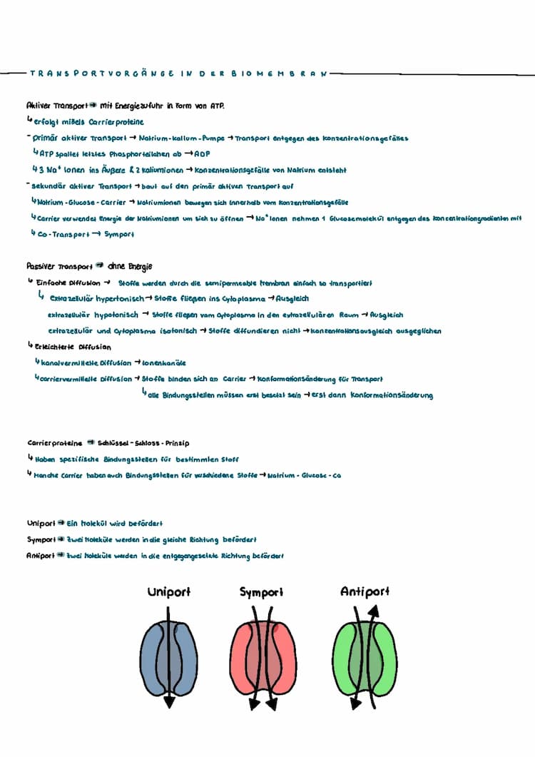 Know Transportvorgänge & Biomembran thumbnail