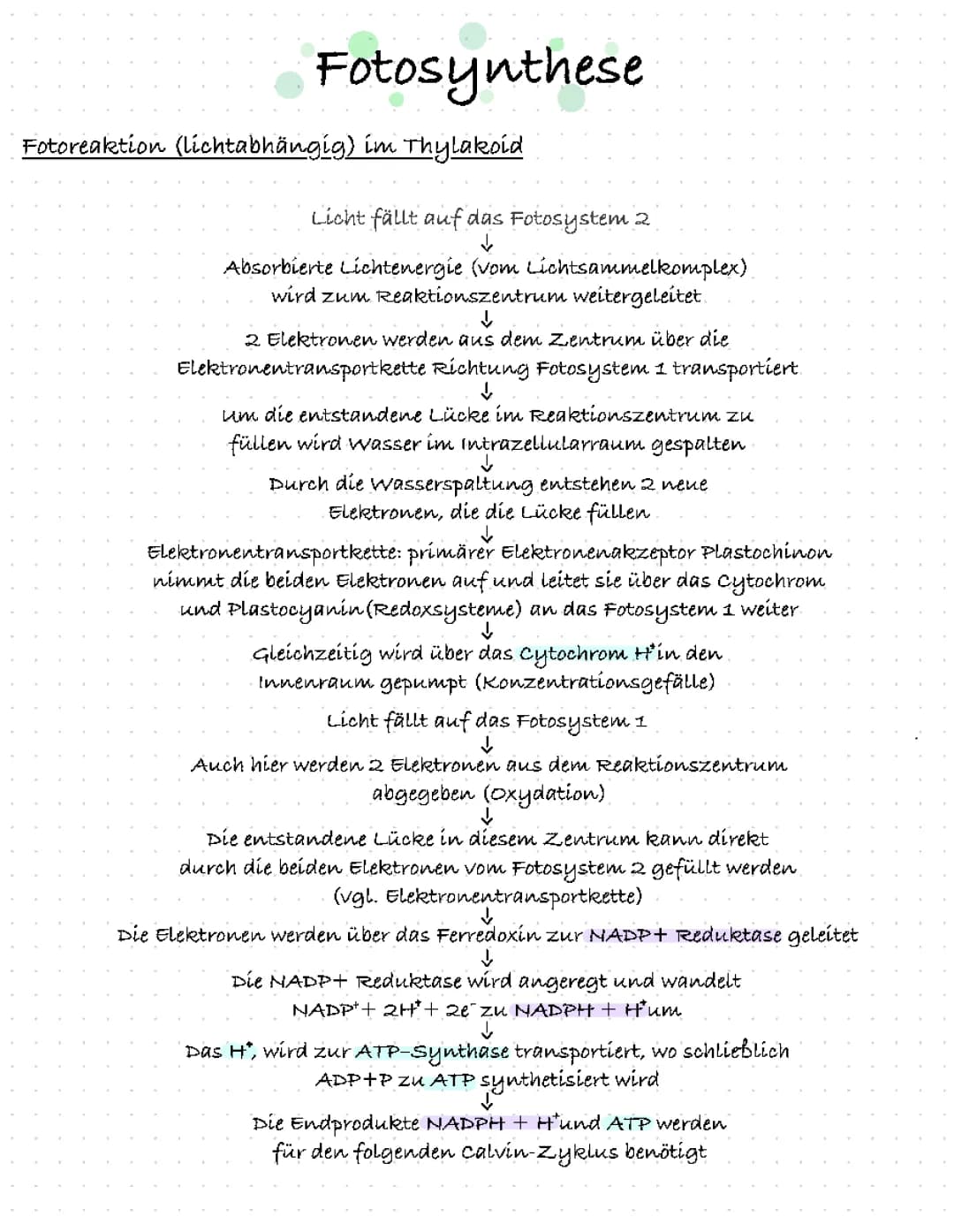 Fotosynthese