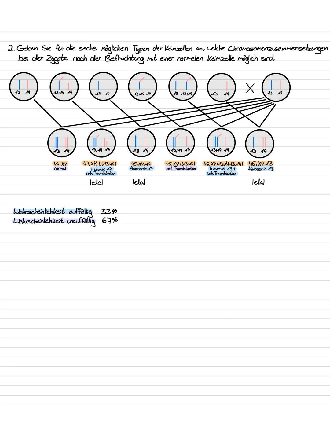 Genetik III Lernzettel
Genregulation
-Stevering /!
/Kontrolle der Aktivität von Genen / Steuerung der Genexpression
- bestimmt, ob das vom G