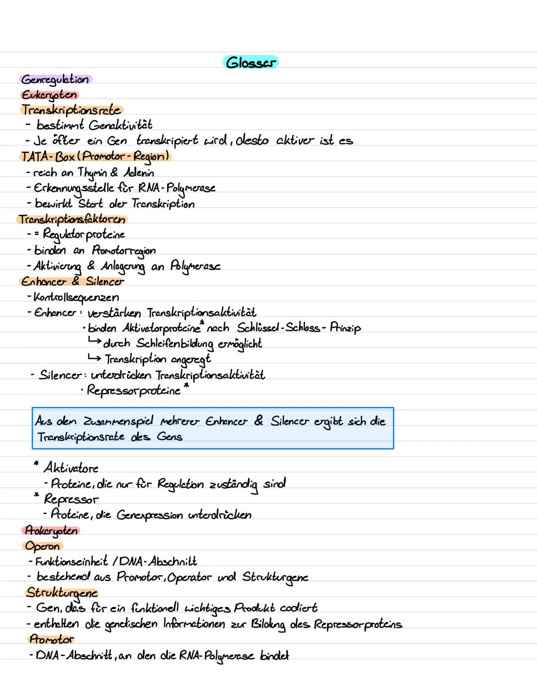 Genetik III Lernzettel
Genregulation
-Stevering /!
/Kontrolle der Aktivität von Genen / Steuerung der Genexpression
- bestimmt, ob das vom G