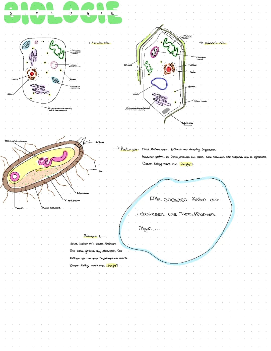 Zellbiologie 