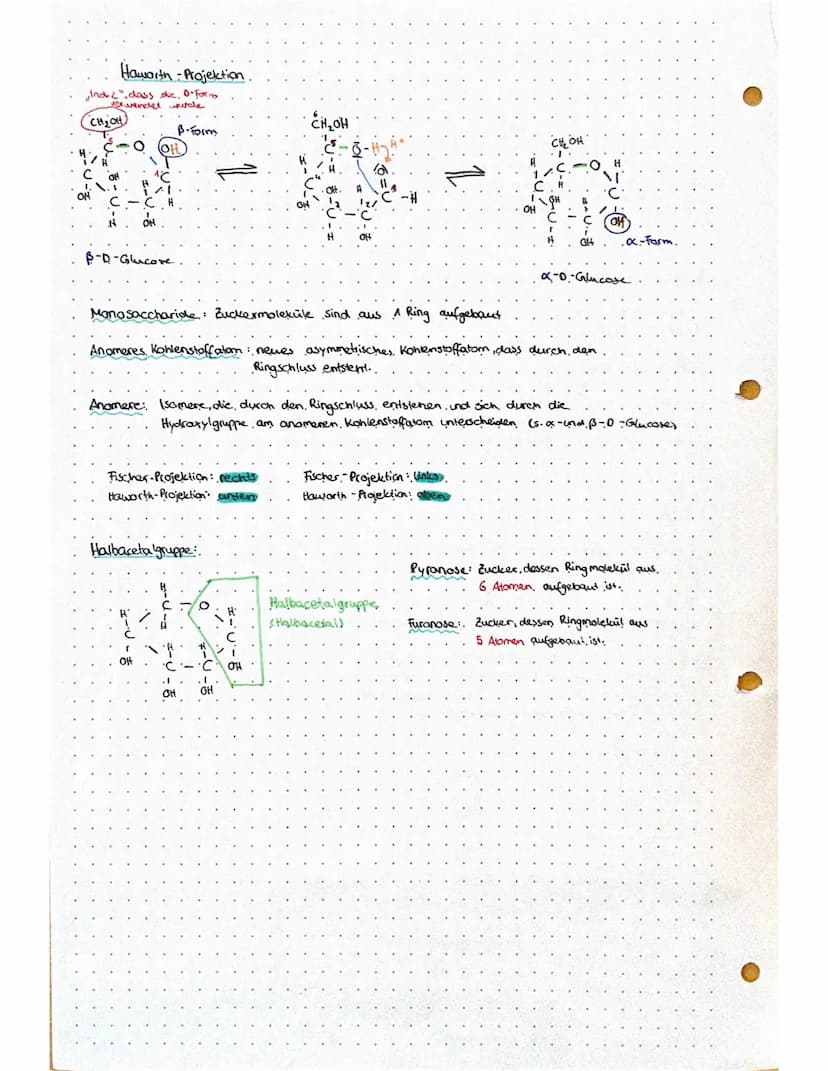 W
B
Nachweis von: Kohlenstoff-, Wasserstoff-, Sauerstoffatomen
D
KOHLENHYDRATE
B
1. Elementare. Zusammensetzung (Nachweisversuche
Erhitze ei