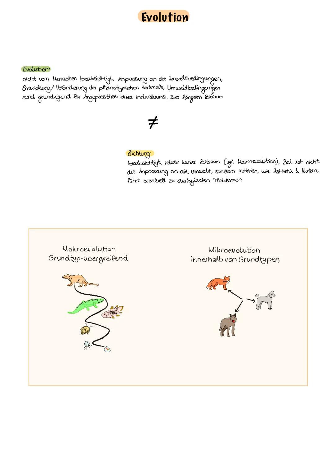 Mikroevolution und Makroevolution einfach erklärt: Die Evolutionstheorien von Darwin und Lamarck