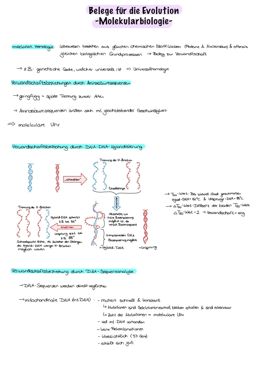 Evolution
Evolution:
nicht vom Menschen beabsichtigt, Anpassung an die Umweltbedingungen,
Entwicklung/Veränderung der phänotypischen Merkmal