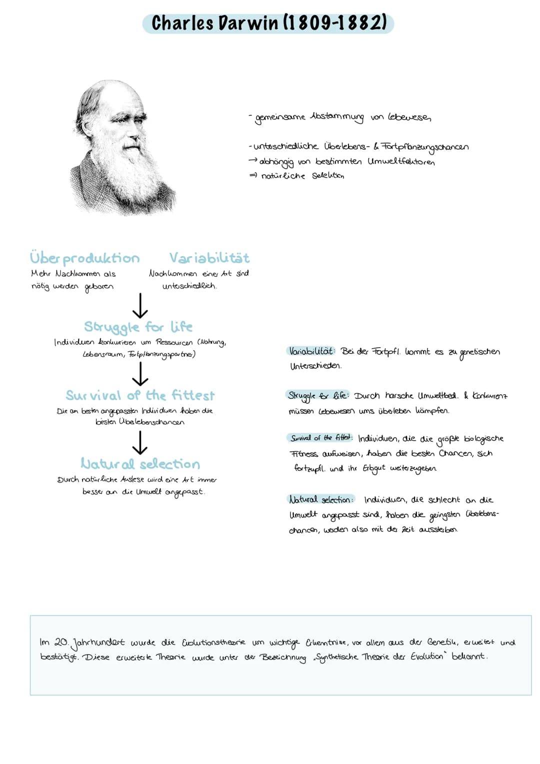 Evolution
Evolution:
nicht vom Menschen beabsichtigt, Anpassung an die Umweltbedingungen,
Entwicklung/Veränderung der phänotypischen Merkmal