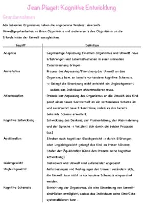 Know Piaget „Kognitive Entwicklung“ thumbnail