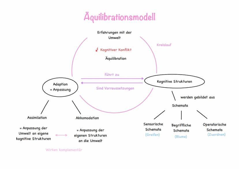 Grundannahmen
Alle lebenden Organismen haben die angeborene Tendenz; einerseits
Umweltgegebenheiten an ihren Organismus und andererseits den