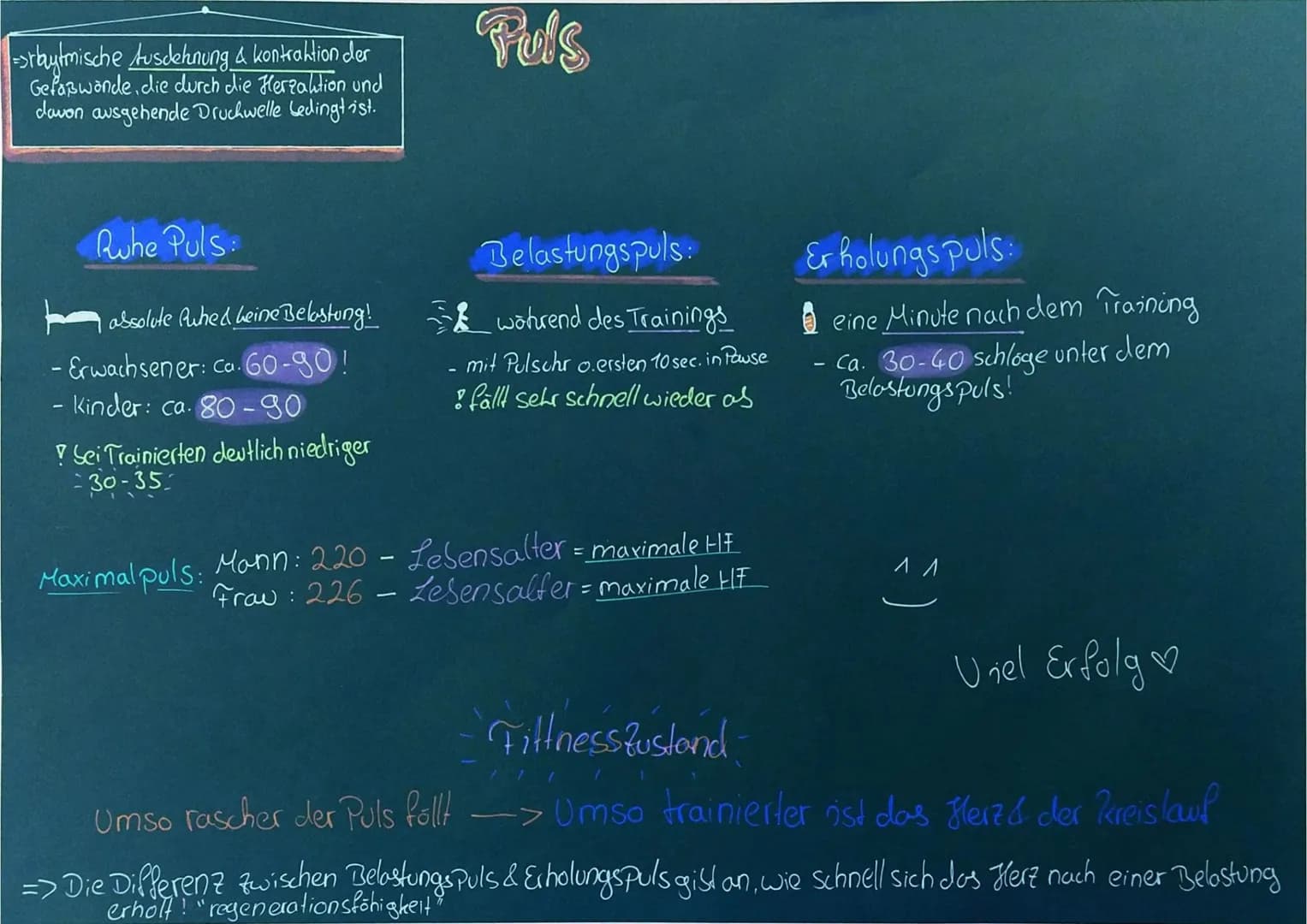 =>rbaytmische Ausdehnung & kontraktion der
Gefaßwonde, die durch die Herzaktion und
davon ausgehende Druchwelle bedingt ist.
Ruhe Puls:
I ab