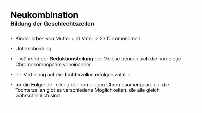 Bildung der Geschlechtszellen
Grundlagen der Vererbung
Kinga M. & Mila K. Gliederung
Bildung der Geschlechtszellen
●
●
●
Geschlechtszellen
M