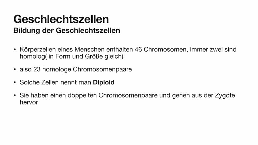 Bildung der Geschlechtszellen
Grundlagen der Vererbung
Kinga M. & Mila K. Gliederung
Bildung der Geschlechtszellen
●
●
●
Geschlechtszellen
M