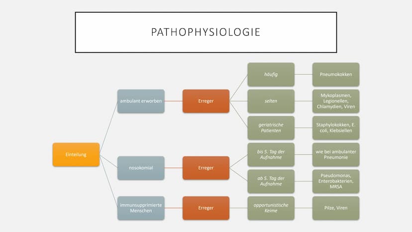 PNEUMONIE
Quelle: I care Krankheitslehre © 2019 Georg Thieme Verlag KG AGENDA
1. Definition
2. Pathophysiologie
3. Risikofaktoren
4. Symptom