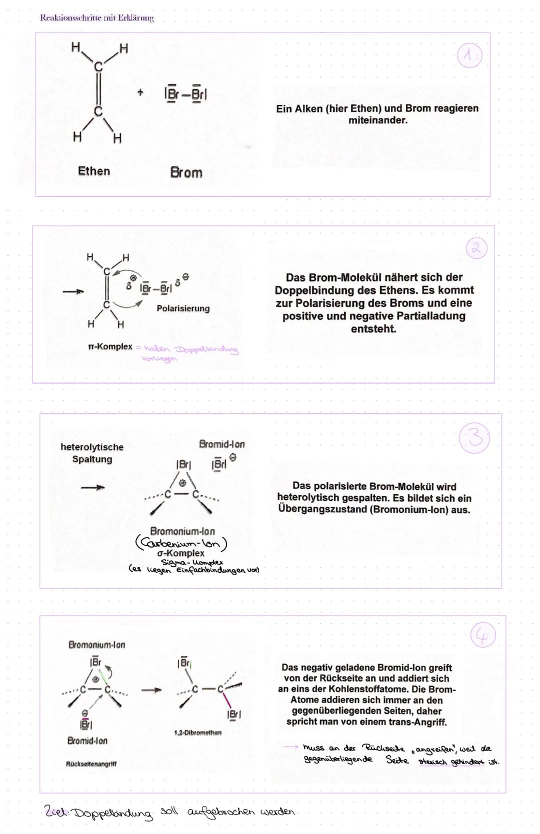 Elektrophile Addition: Einfach erklärt mit Beispielen wie Bromierung und Chlorierung