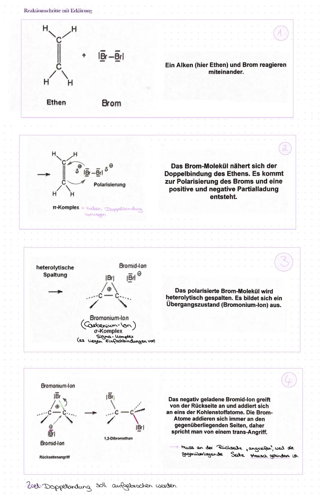 Elektrophile Addition: Einfach erklärt mit Beispielen wie Bromierung und Chlorierung