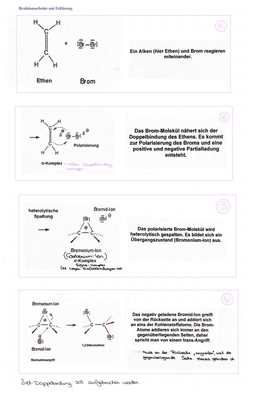 Reaktionsschritte mit Erklärung
H.
Ethen
H.
H
H
H
heterolytische
Spaltung
Bromid-lon
Bromonium-Ion
Rückseitenangriff
+ 18r-Brl
T-Komplex = h