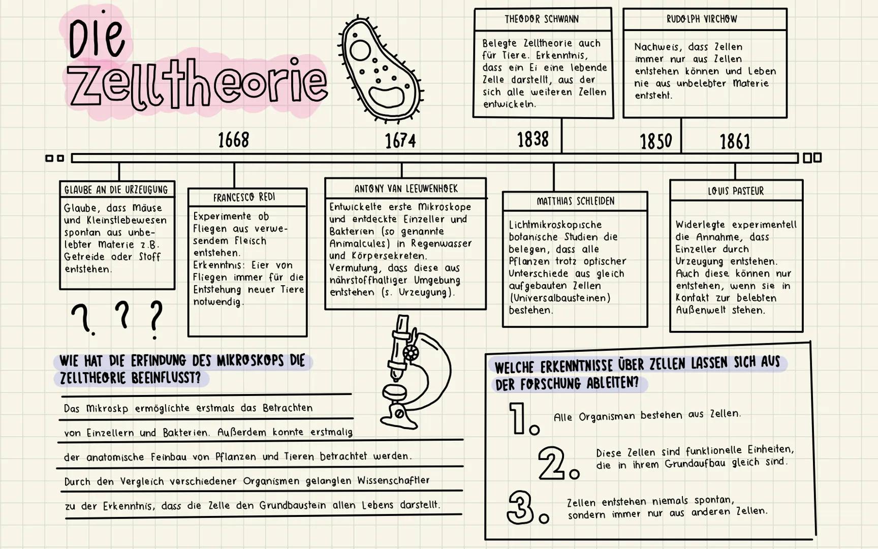 PROKARYOUSCHE
Zelle
AUFBAU
DIE
Schleimhülle
Zellmembran
Zellwand
-
Membran-
einstülpung
Stoffwechsel
Stoffwechselvorgänge finden an
Membrane